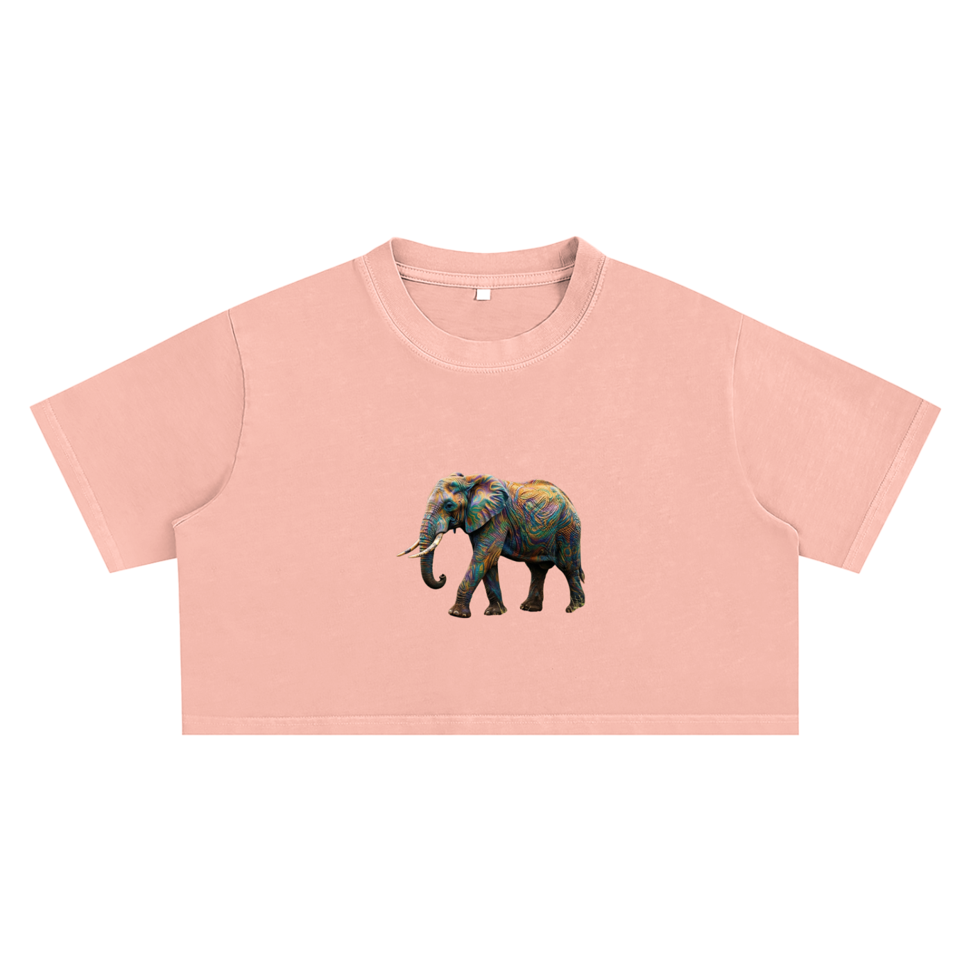 Minimalist Elephant Crop Top, Colorful Abstract Animal Tee, Earth Awareness Shirt